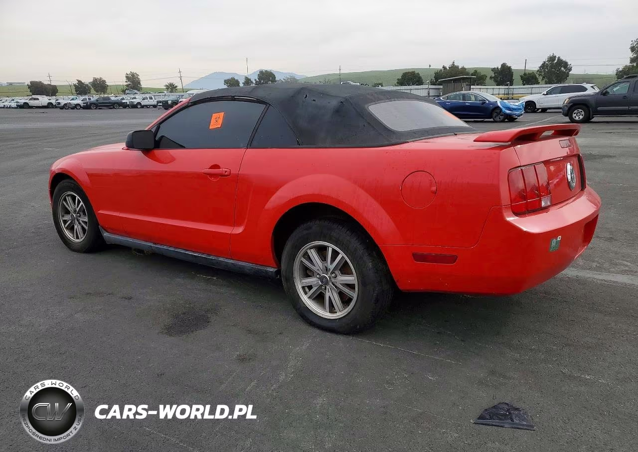 2005 Ford Mustang VIN:1ZVFT84N955208679 - 2
