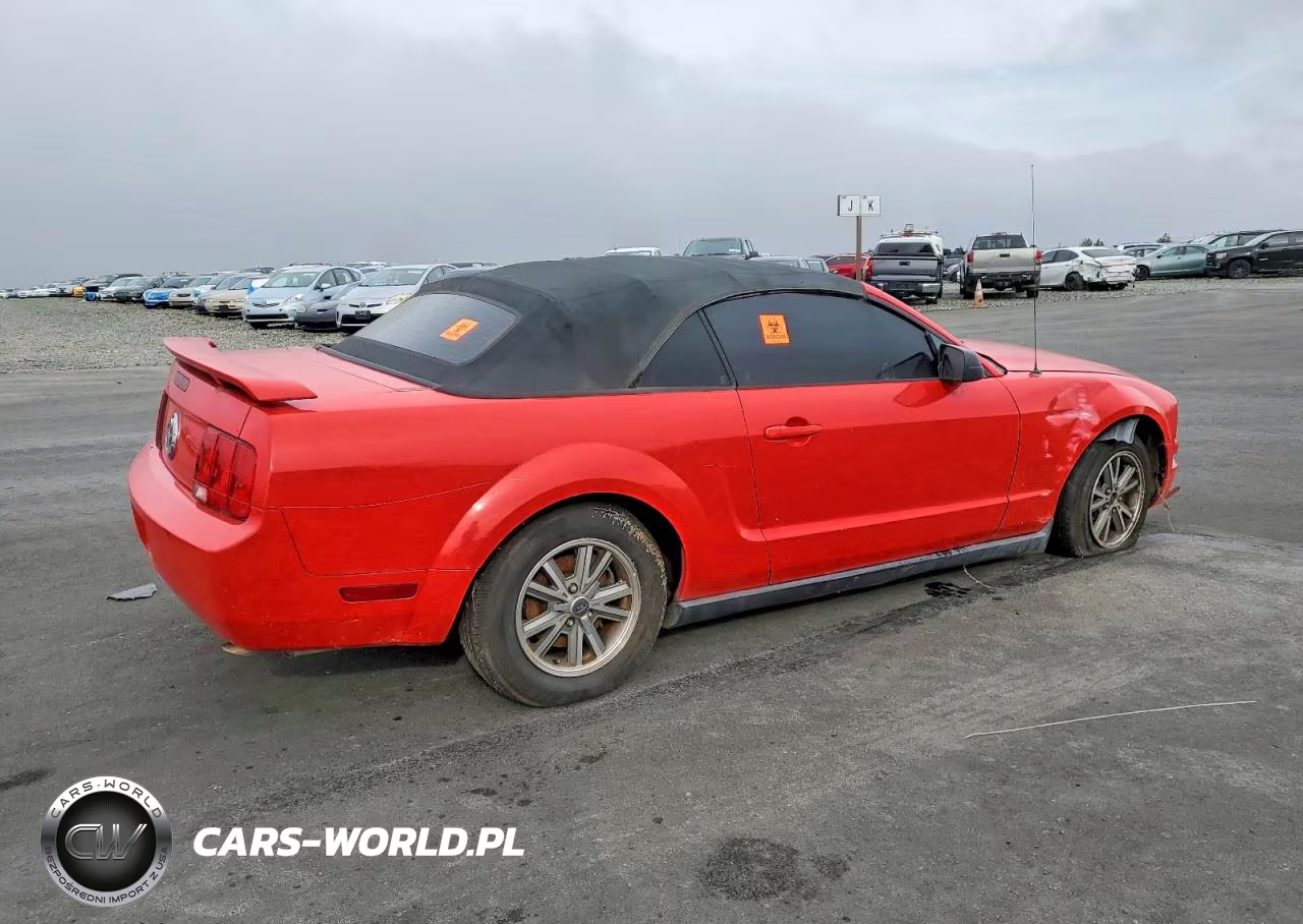 2005 Ford Mustang VIN:1ZVFT84N955208679 - 3