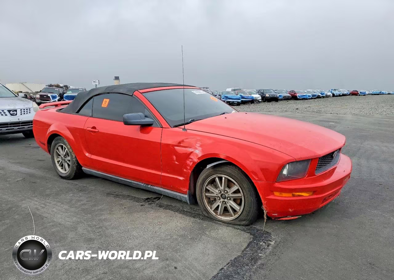 2005 Ford Mustang VIN:1ZVFT84N955208679 - 4