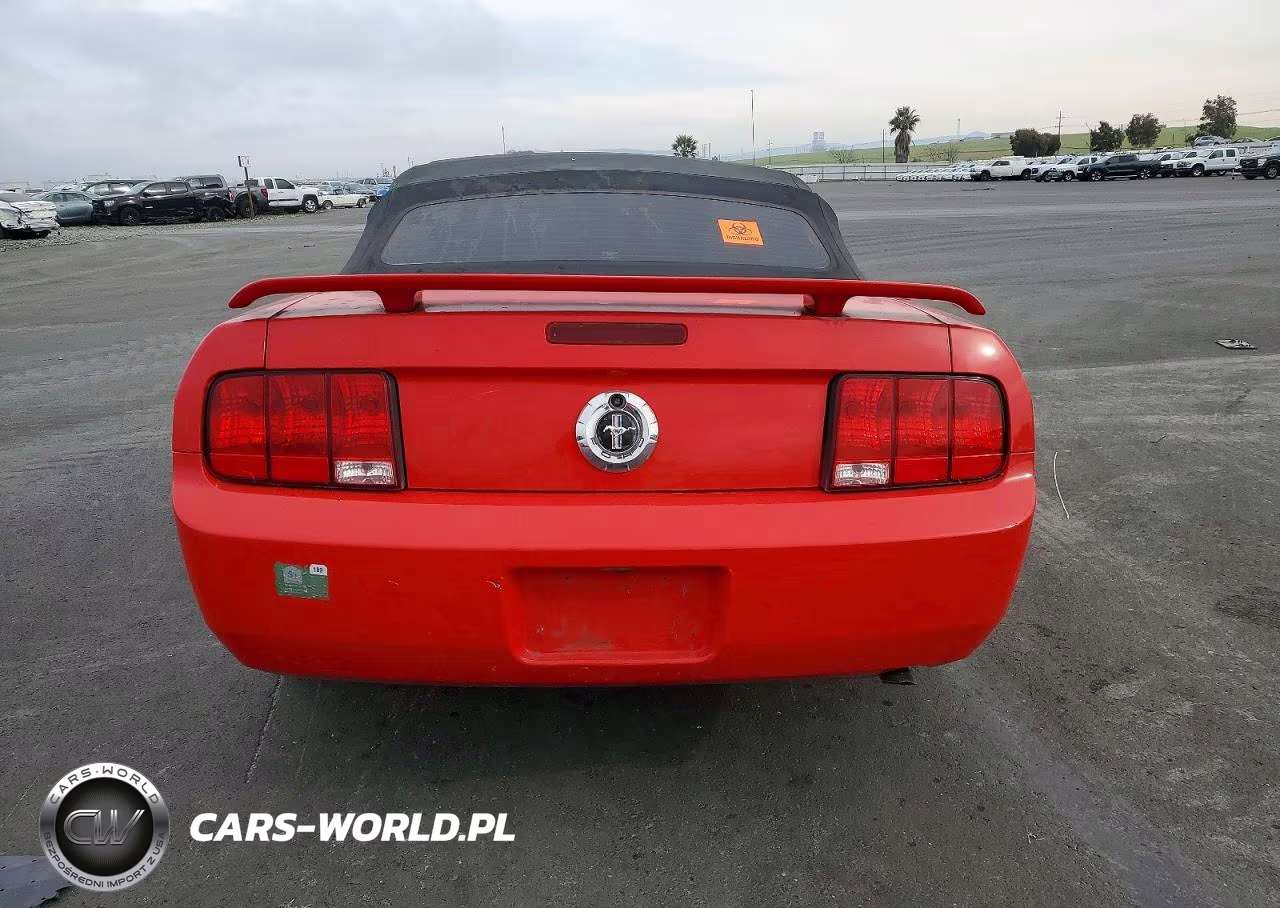 2005 Ford Mustang VIN:1ZVFT84N955208679 - 6