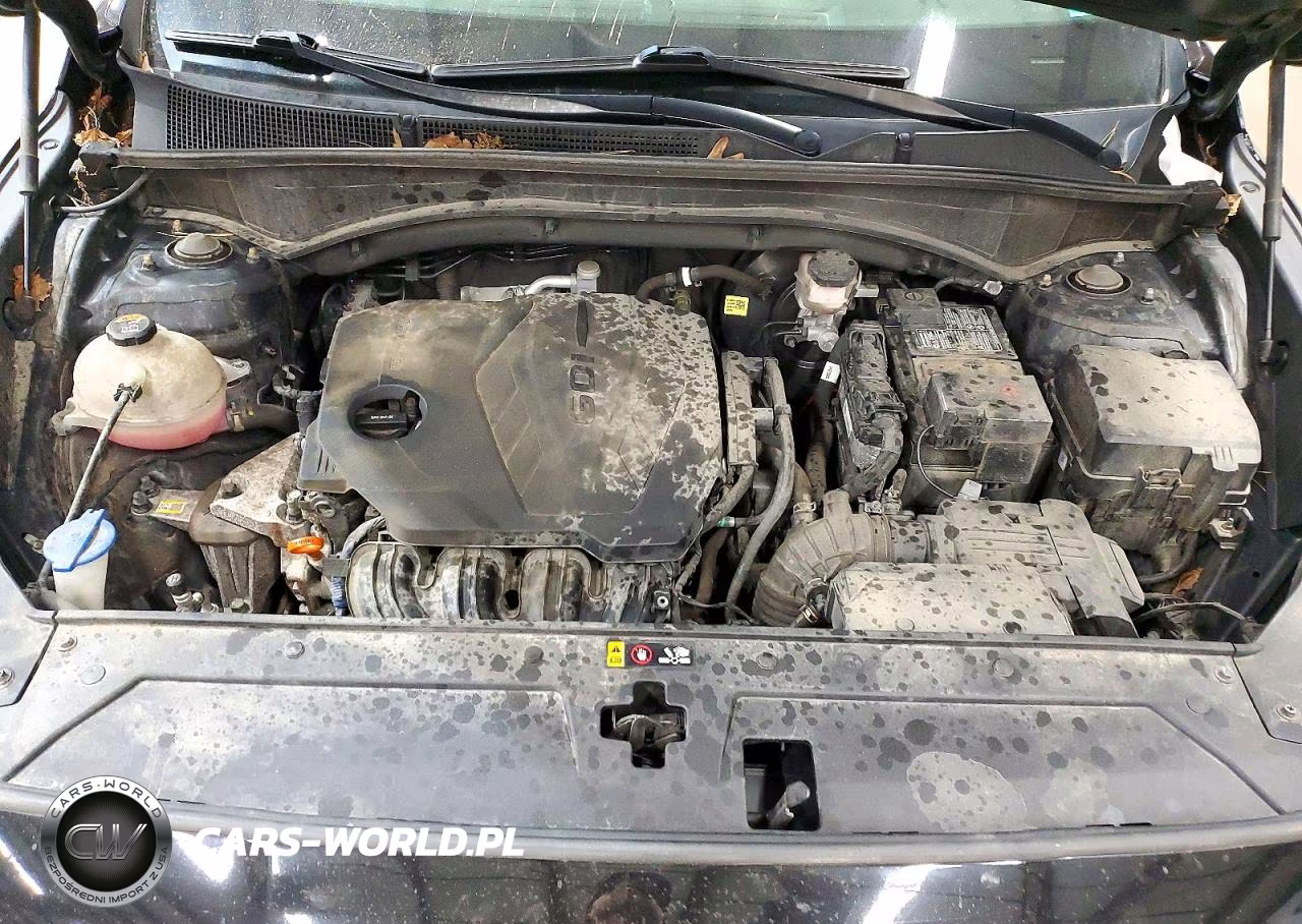 2021 Hyundai Santa Fe Base VIN:5NMS1DAJ4MH311795 - 12