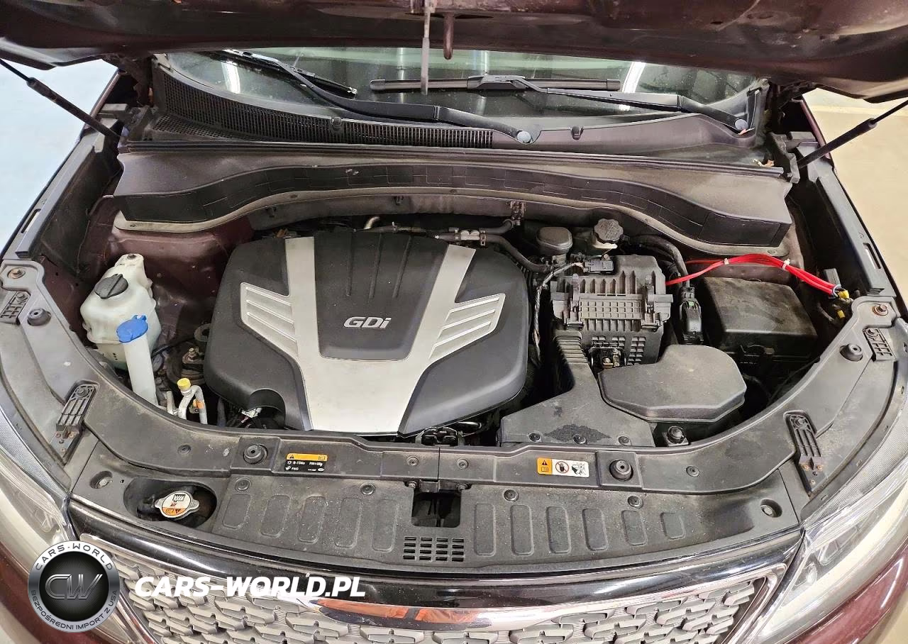 2014 Kia Sorento Base VIN:5XYKWDA74EG453890 - 12