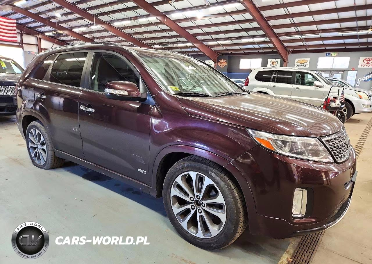 2014 Kia Sorento Base VIN:5XYKWDA74EG453890 - 4