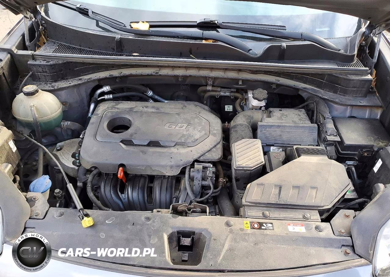 2017 Kia Sportage Lx VIN:KNDPMCAC9H7293350 - 12