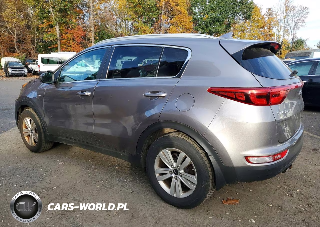 2017 Kia Sportage Lx VIN:KNDPMCAC9H7293350 - 2