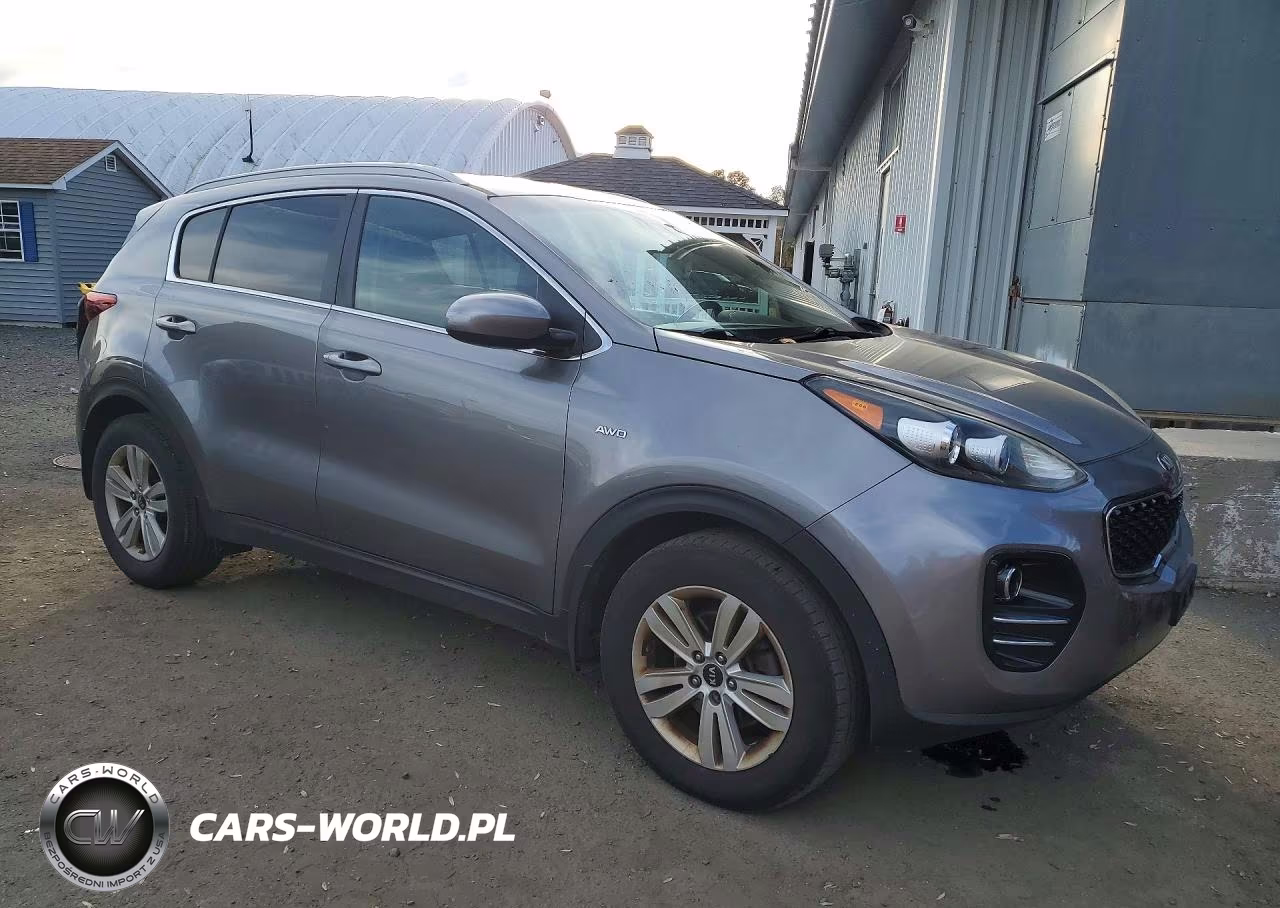 2017 Kia Sportage Lx VIN:KNDPMCAC9H7293350 - 4