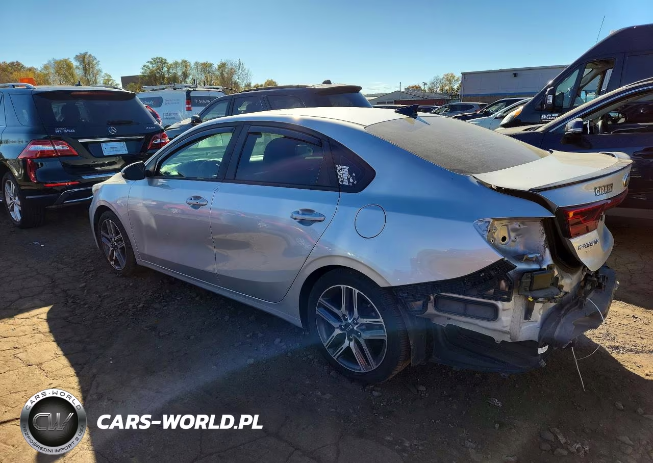 2020 Kia Forte Ex VIN:3KPF54AD5LE208651 - 2