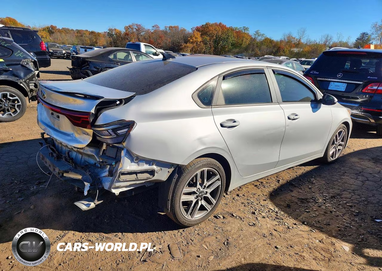 2020 Kia Forte Ex VIN:3KPF54AD5LE208651 - 3