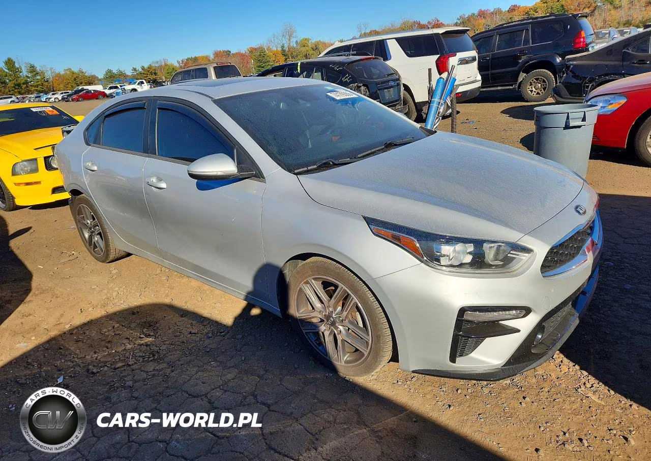 2020 Kia Forte Ex VIN:3KPF54AD5LE208651 - 4
