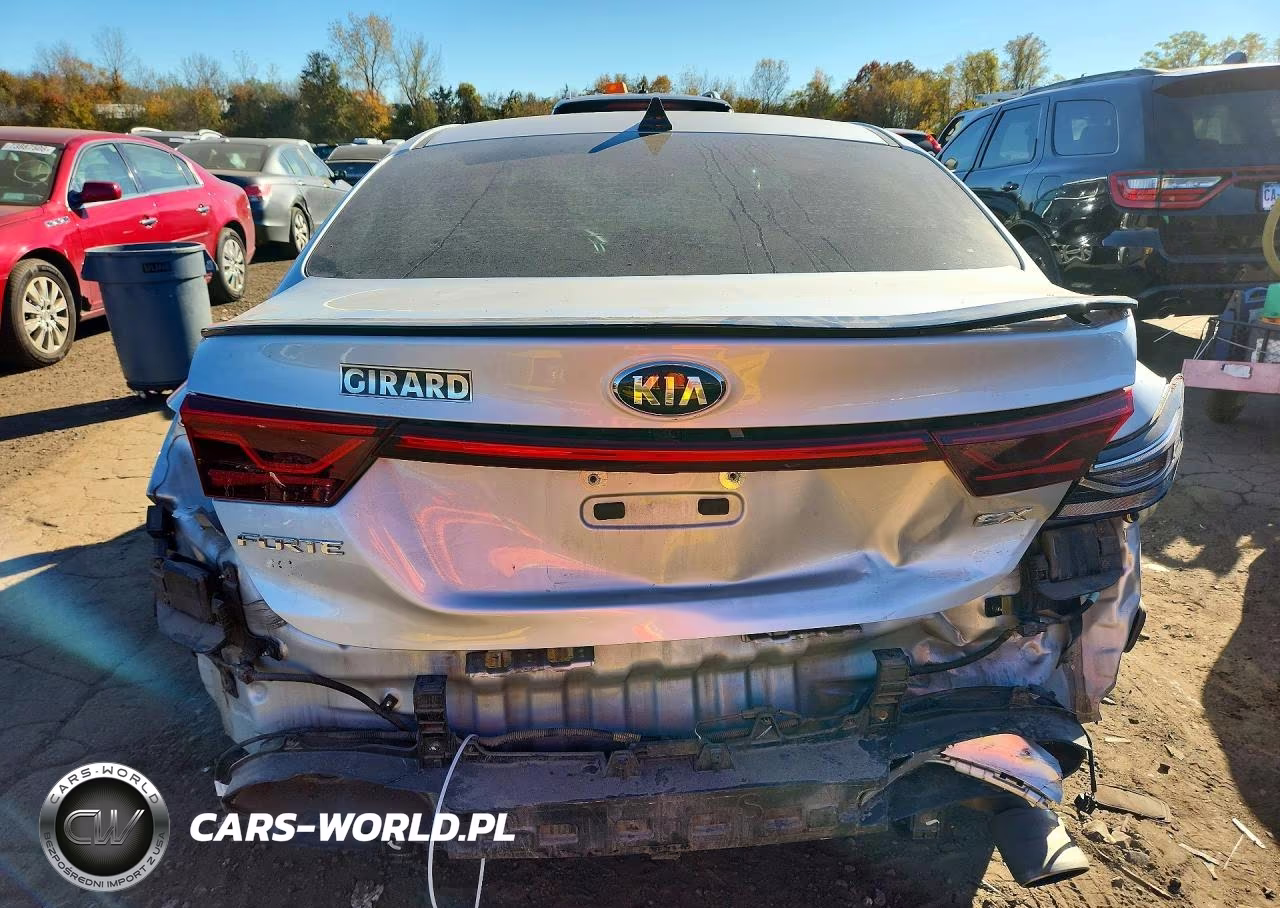 2020 Kia Forte Ex VIN:3KPF54AD5LE208651 - 6