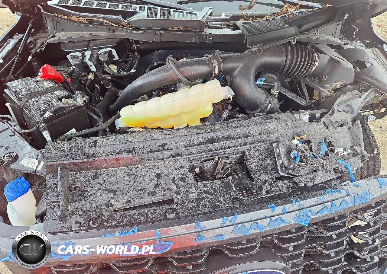 2024 Ford F150 Stx VIN:1FTEX2KP7RKF50367 - 11