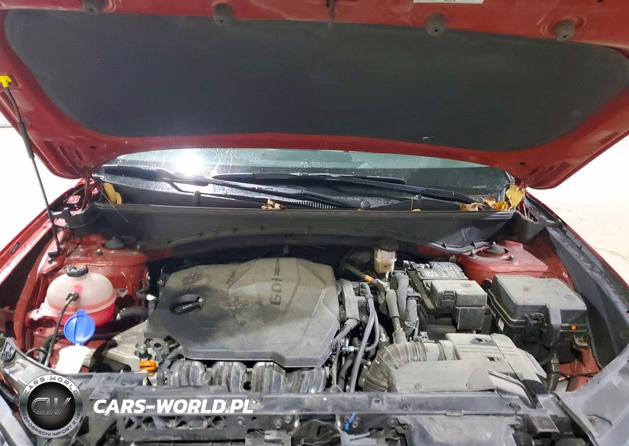 2025 Hyundai Tucson Sel VIN:5NMJB3DE1SH492045 - 12