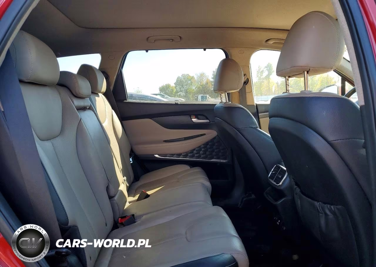 2019 Hyundai Santa Fe Ultimate 2.4L VIN:5NMS5CAD5KH004108 - 11