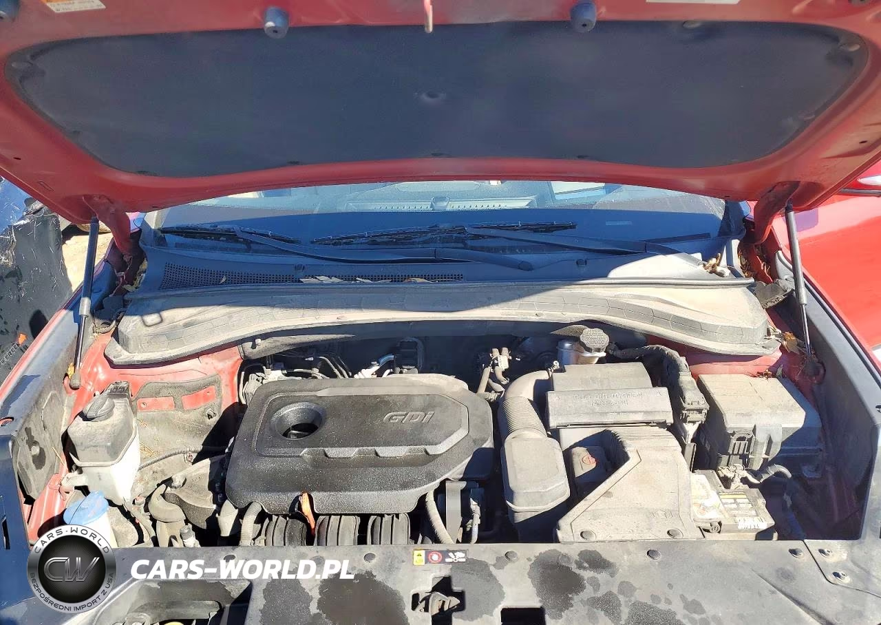 2019 Hyundai Santa Fe Ultimate 2.4L VIN:5NMS5CAD5KH004108 - 12