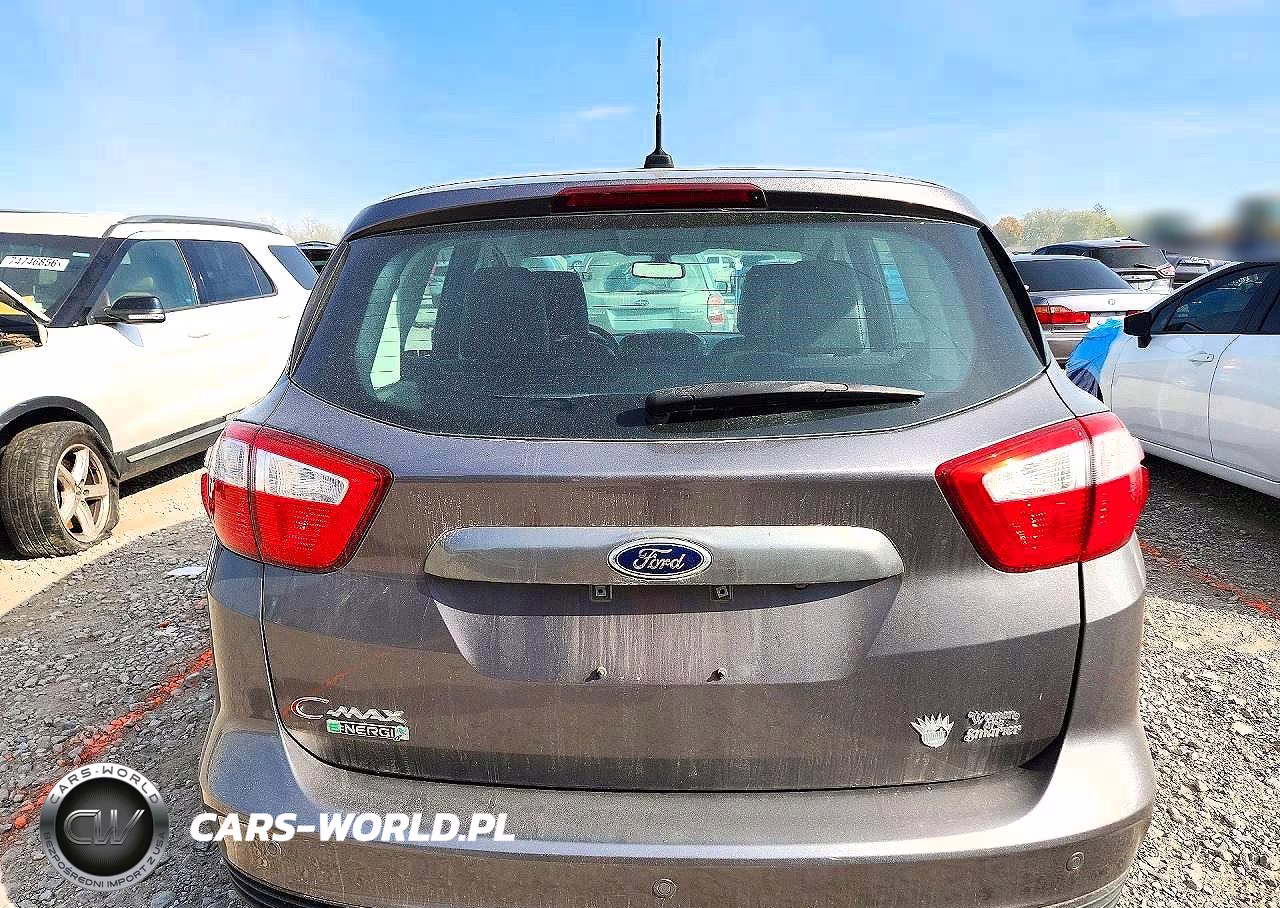 2014 Ford C-Max Premium VIN:1FADP5CU8EL520791 - 6