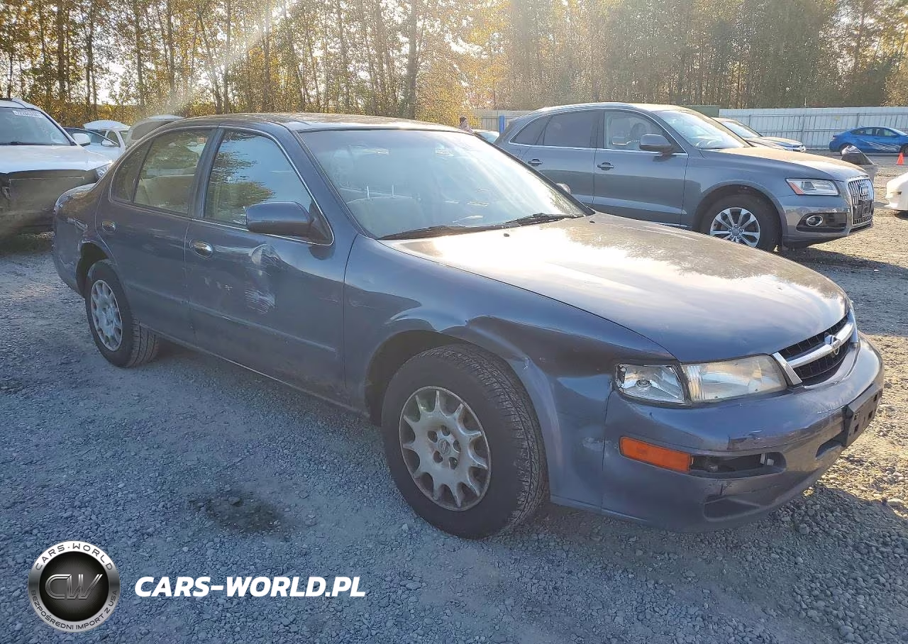 1999 Nissan Maxima Gxe VIN:JN1CA21D7XM416947 - 4