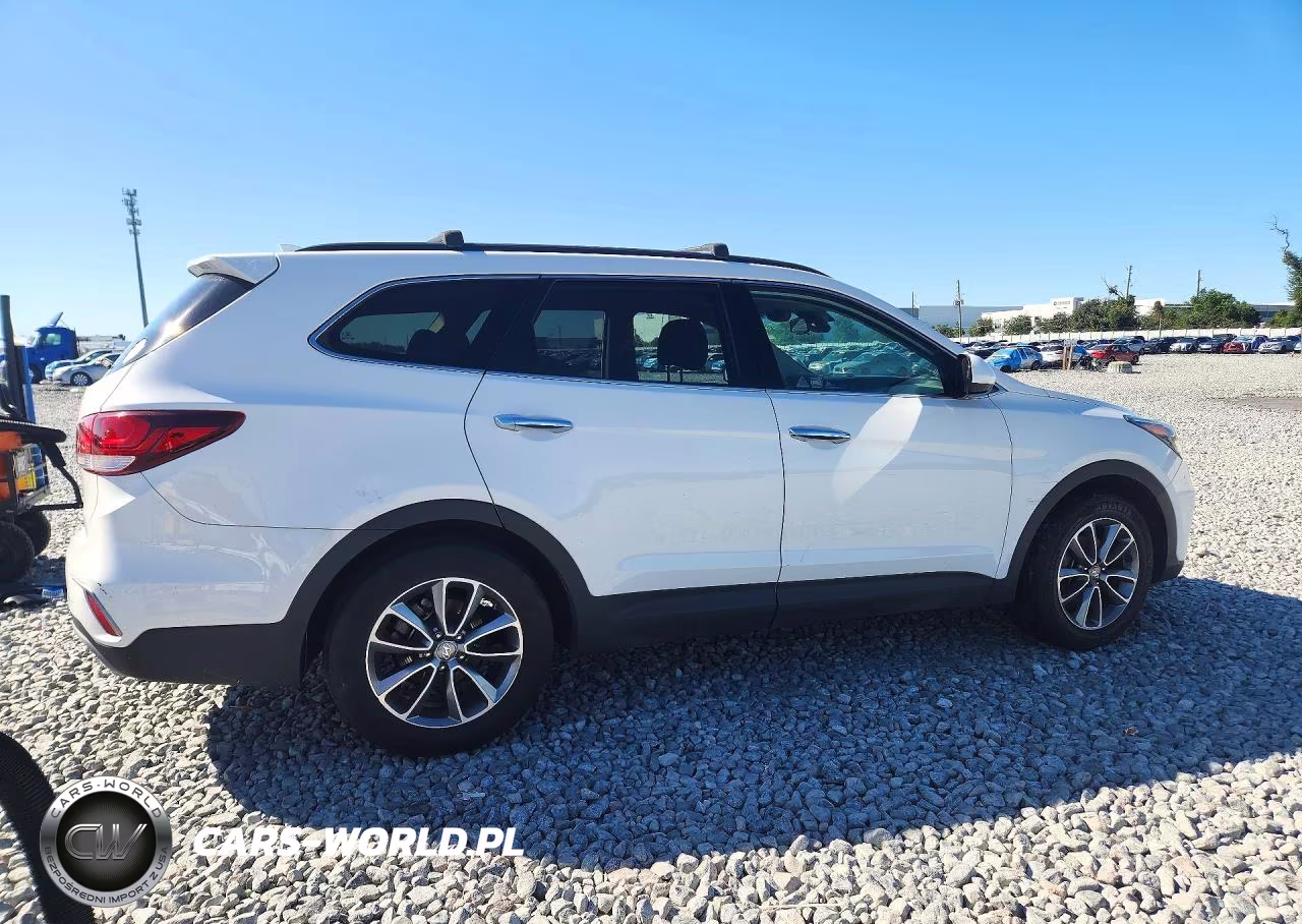 2019 Hyundai Santa Fe Xl Se VIN:KM8SM4HF7KU301983 - 3