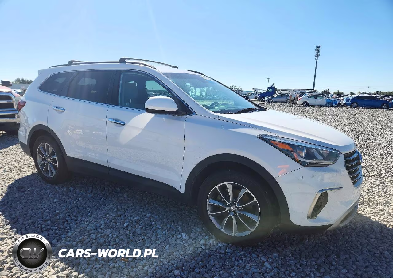 2019 Hyundai Santa Fe Xl Se VIN:KM8SM4HF7KU301983 - 4