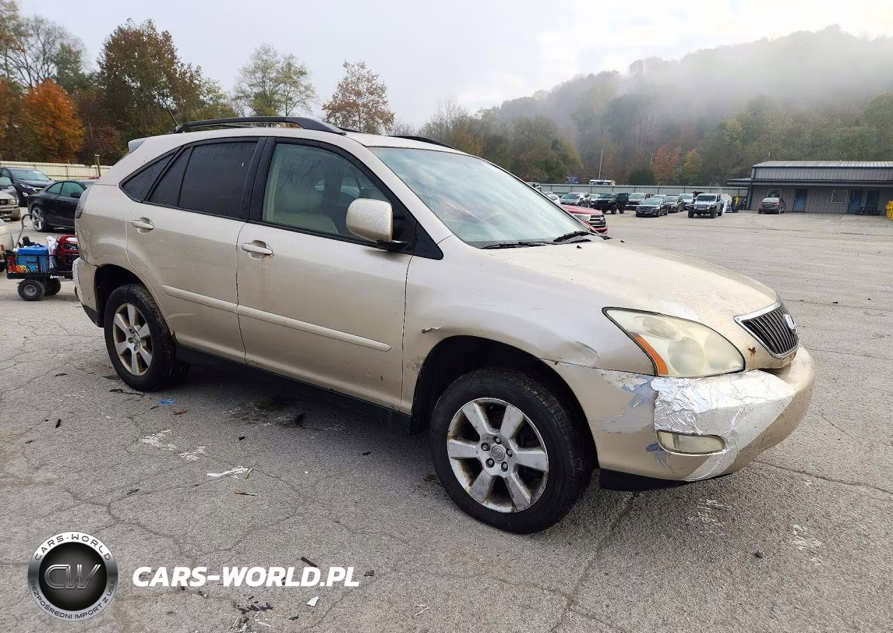 2004 Lexus Rx 330 VIN:JTJHA31UX40006720 - 4