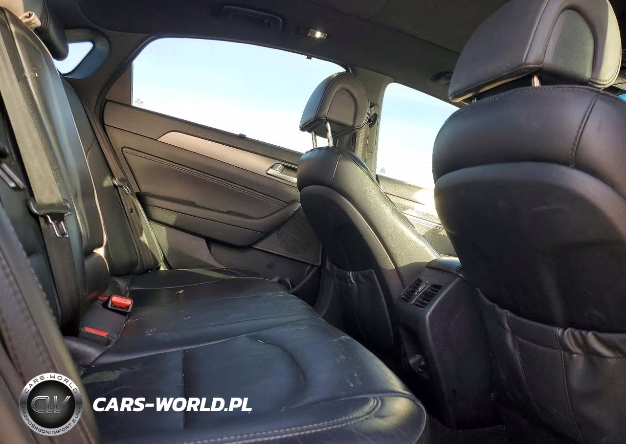 2015 Hyundai Sonata Sport VIN:5NPE34AB8FH205808 - 10