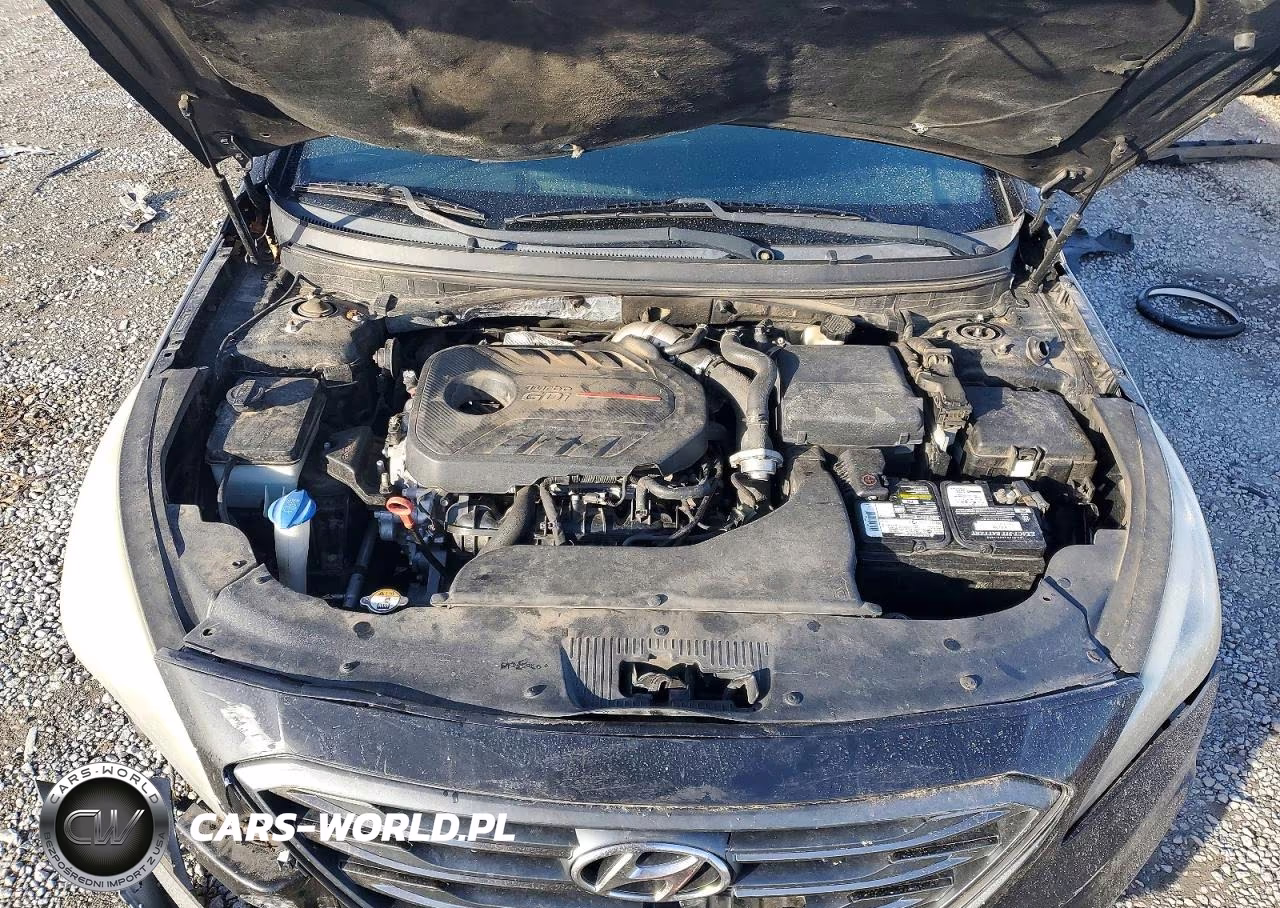 2015 Hyundai Sonata Sport VIN:5NPE34AB8FH205808 - 11