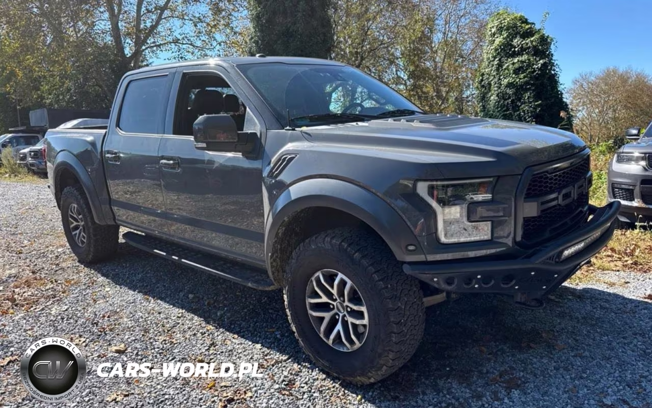 2018 Ford F150 Raptor VIN:1FTFW1RG7JFA15690 - 1
