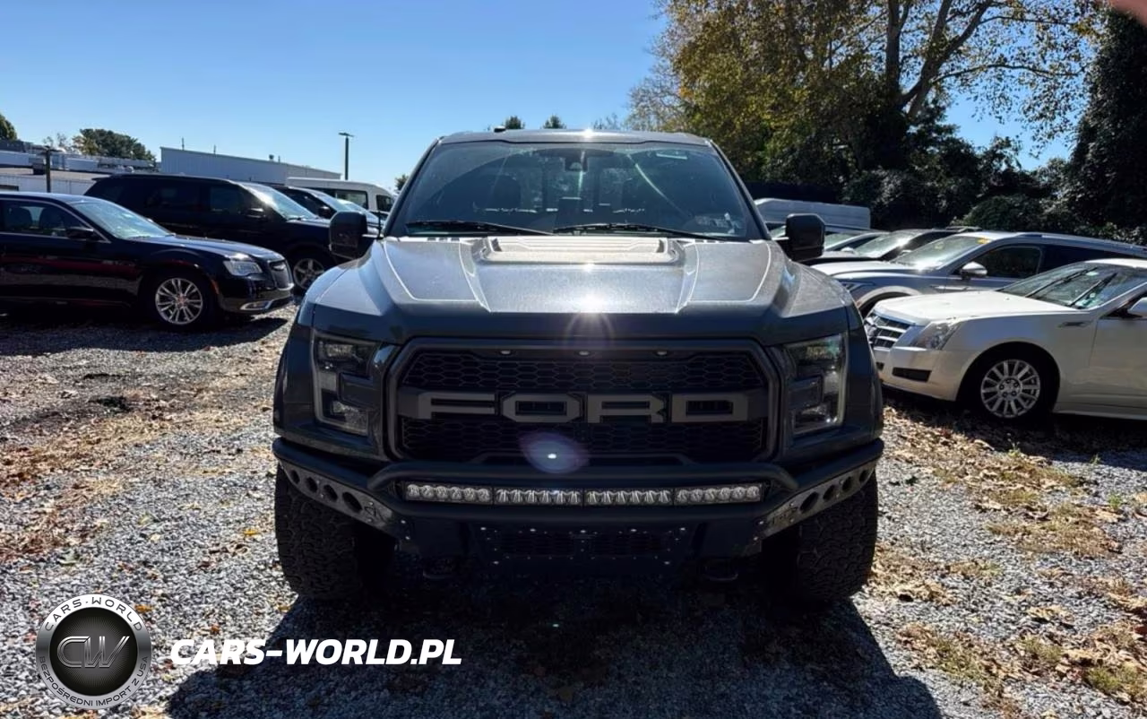 2018 Ford F150 Raptor VIN:1FTFW1RG7JFA15690 - 13