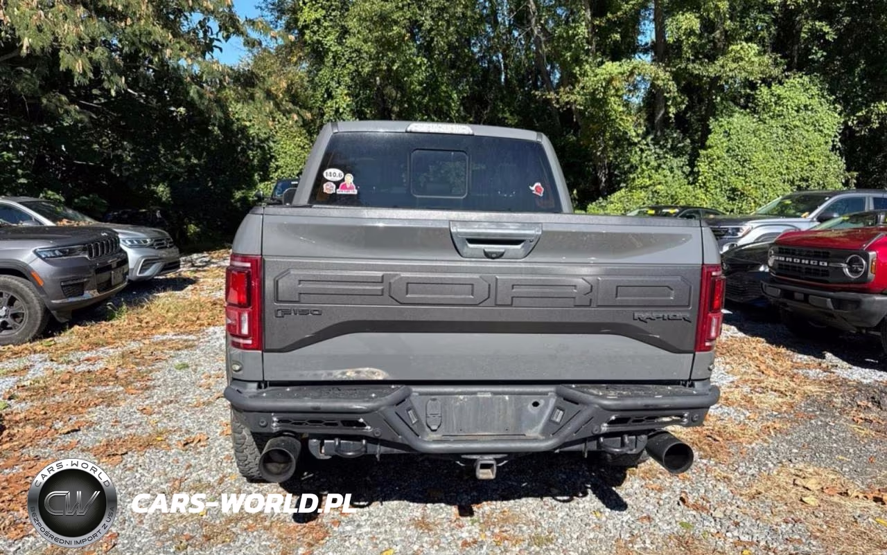 2018 Ford F150 Raptor VIN:1FTFW1RG7JFA15690 - 14