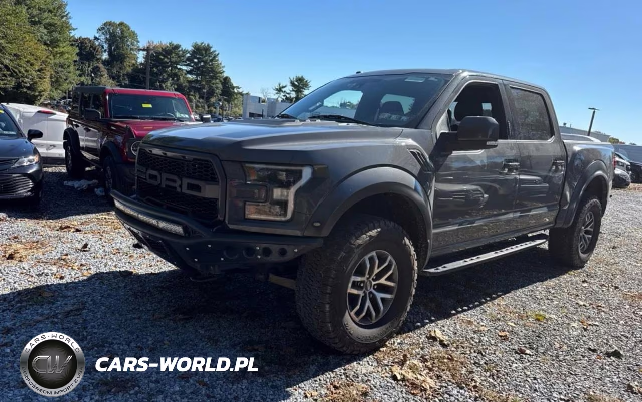 2018 Ford F150 Raptor VIN:1FTFW1RG7JFA15690 - 2