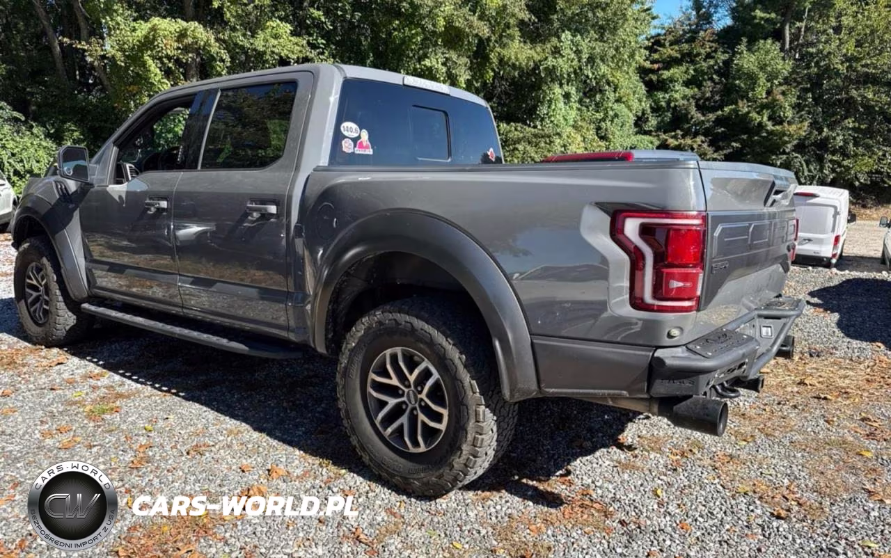 2018 Ford F150 Raptor VIN:1FTFW1RG7JFA15690 - 3