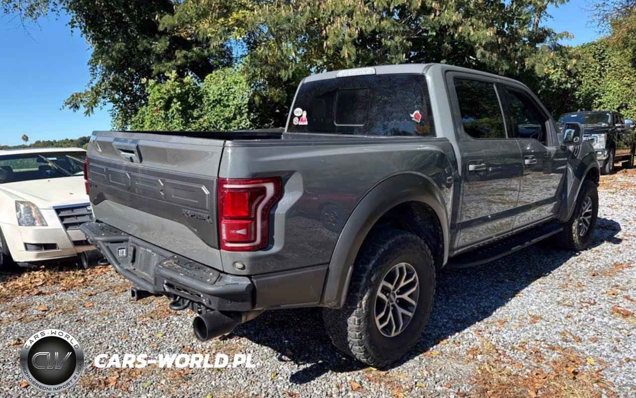 2018 Ford F150 Raptor VIN:1FTFW1RG7JFA15690 - 4