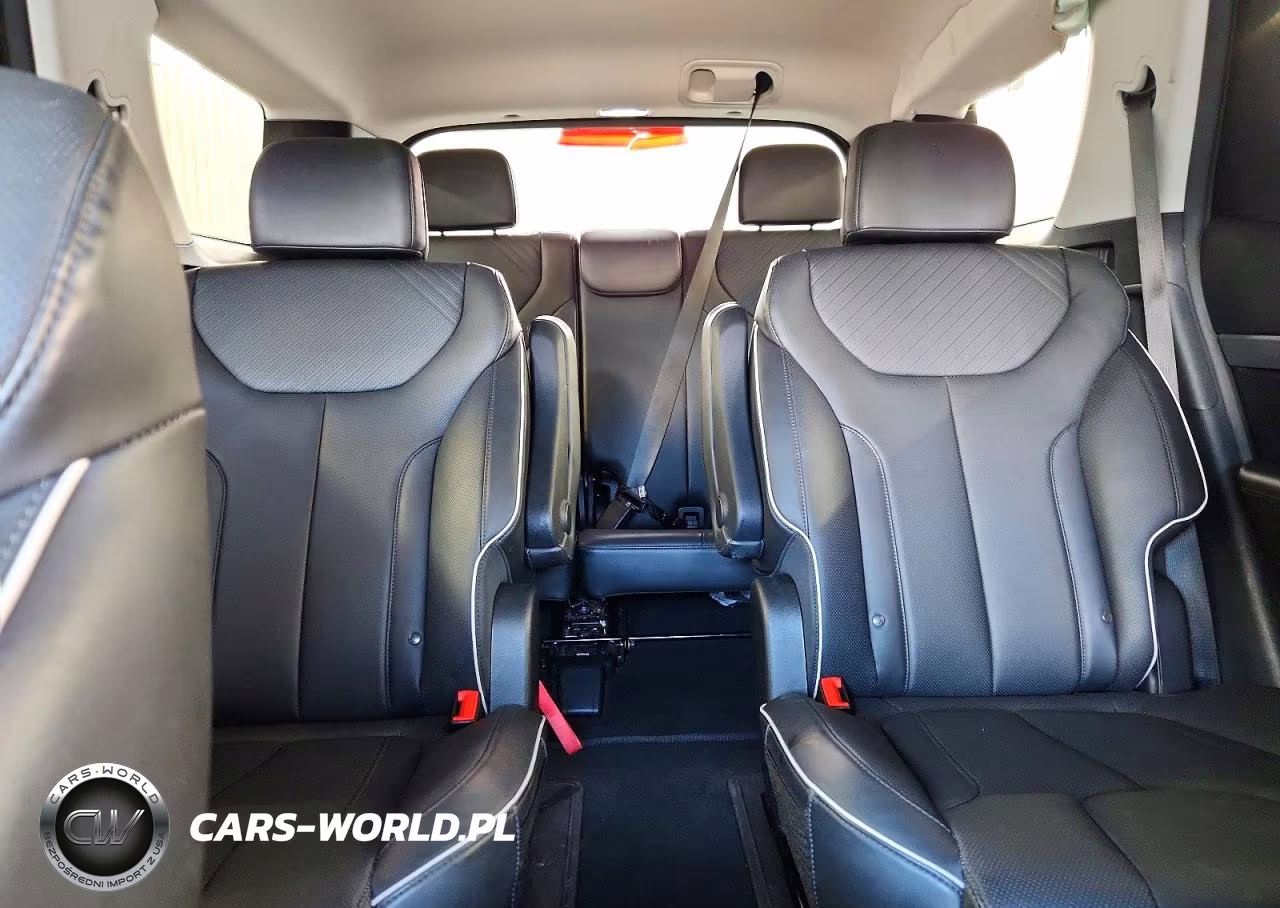 2025 Hyundai Palisade Sel VIN:KM8R24GE1SU816412 - 10