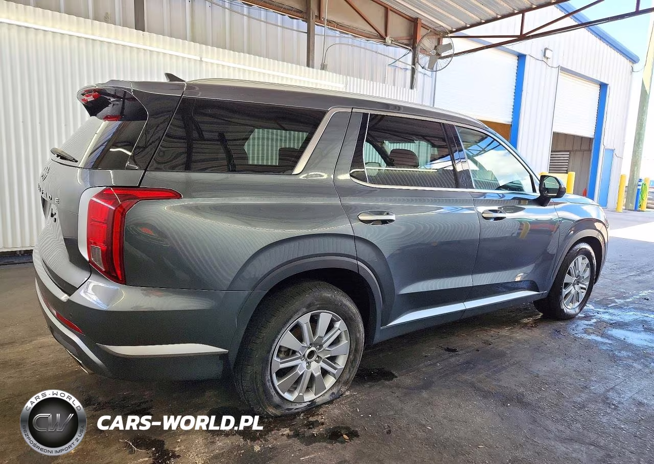 2025 Hyundai Palisade Sel VIN:KM8R24GE1SU816412 - 3