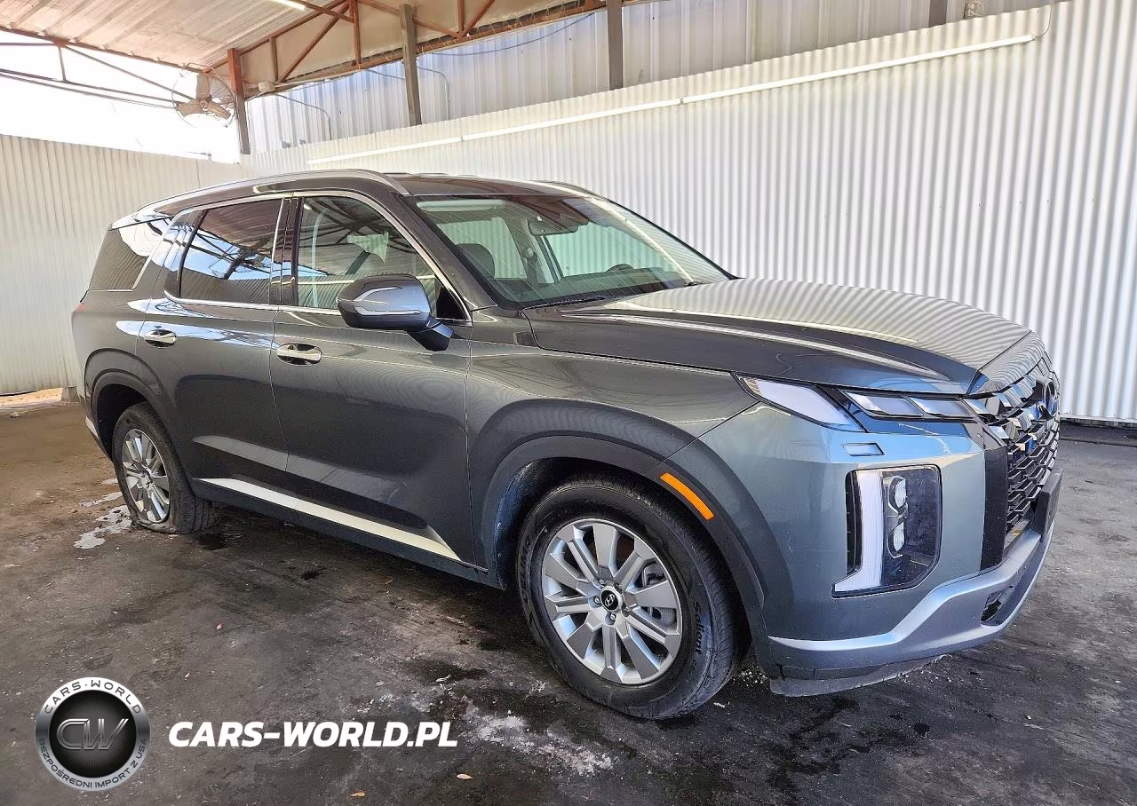 2025 Hyundai Palisade Sel VIN:KM8R24GE1SU816412 - 4
