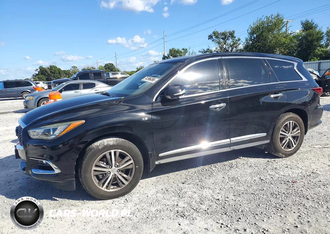 2019 Infiniti Qx60 Pure VIN:5N1DL0MN6KC530629 - 1