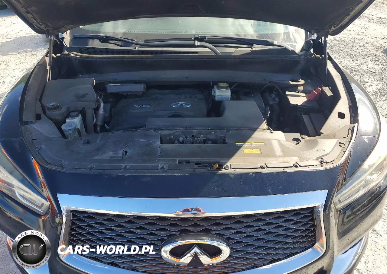 2019 Infiniti Qx60 Pure VIN:5N1DL0MN6KC530629 - 12
