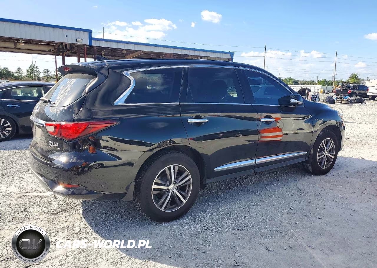 2019 Infiniti Qx60 Pure VIN:5N1DL0MN6KC530629 - 3