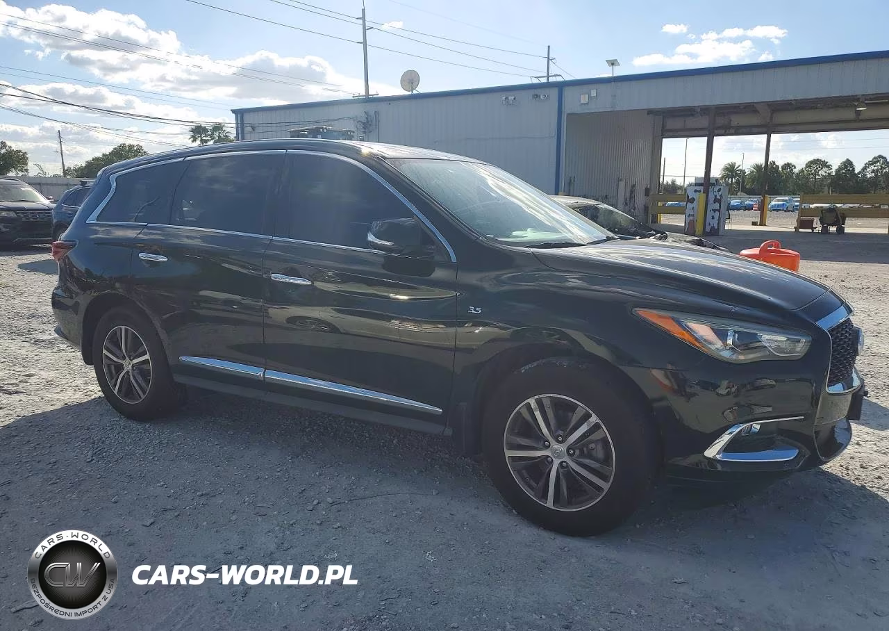 2019 Infiniti Qx60 Pure VIN:5N1DL0MN6KC530629 - 4