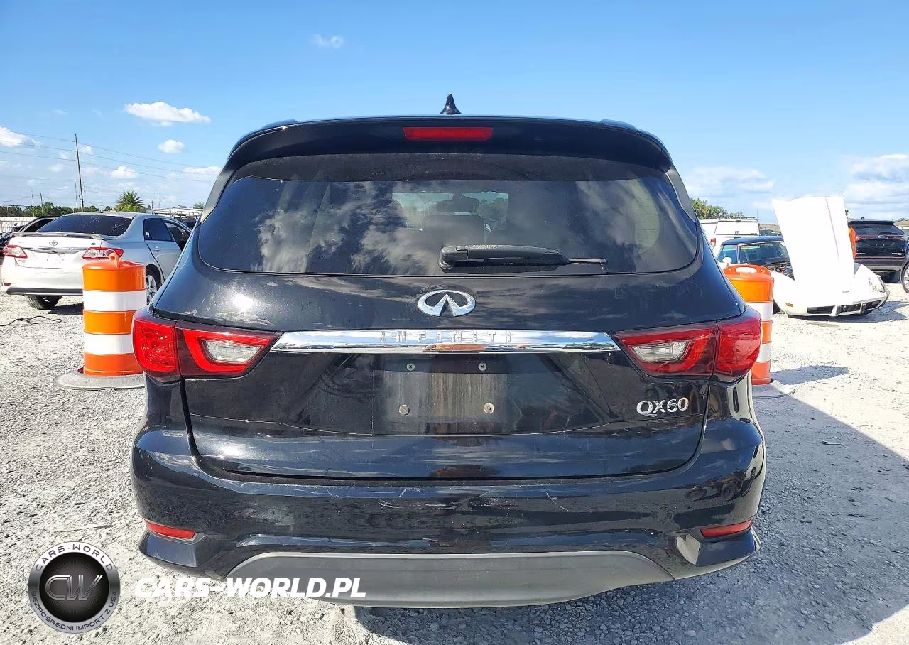 2019 Infiniti Qx60 Pure VIN:5N1DL0MN6KC530629 - 6