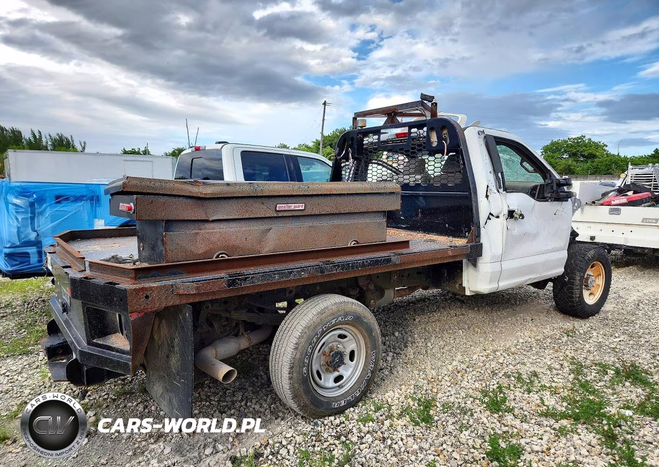 2021 Ford F350 Super Duty VIN:1FDRF3F69MED42022 - 3