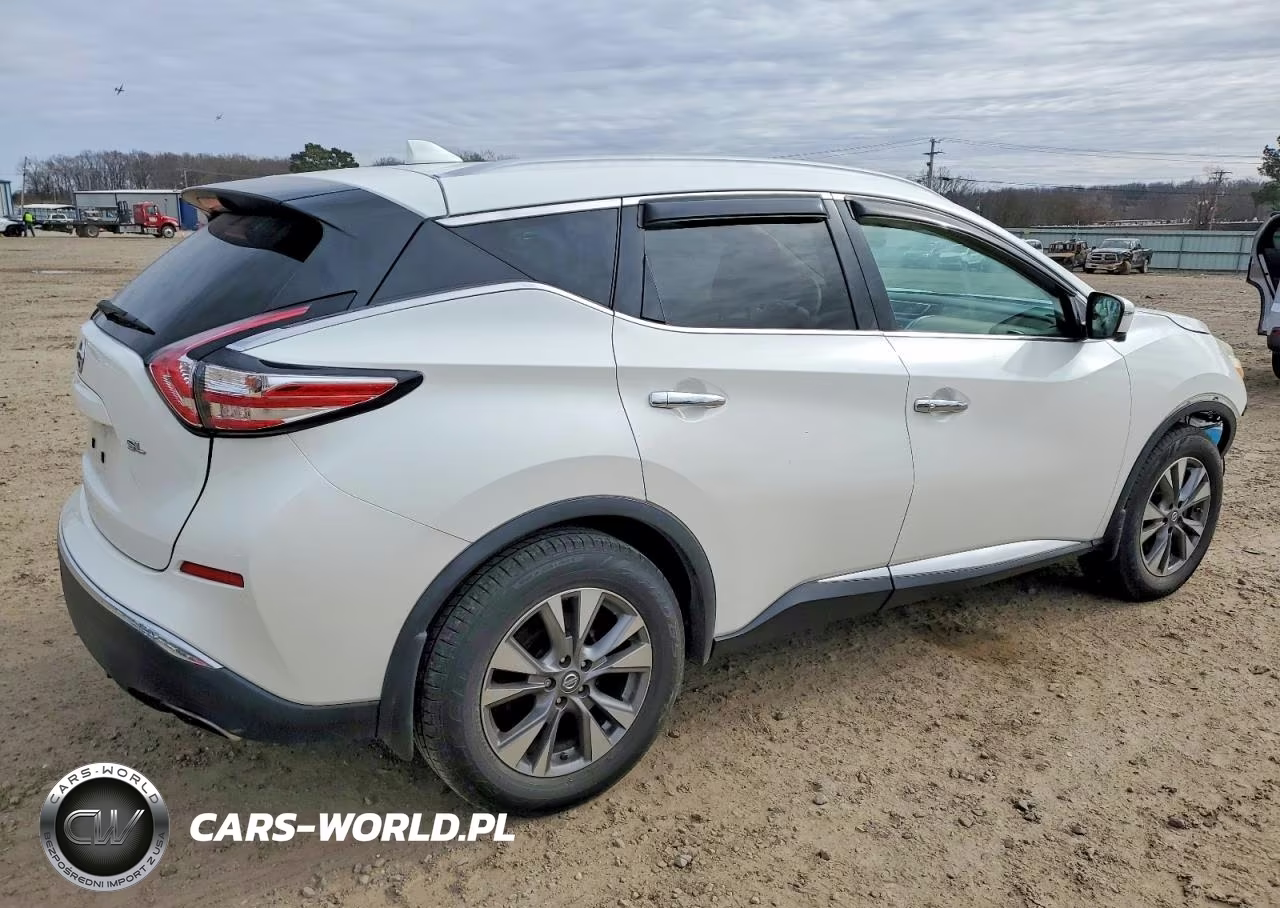 2016 Nissan Murano S VIN:5N1AZ2MGXGN165754 - 3