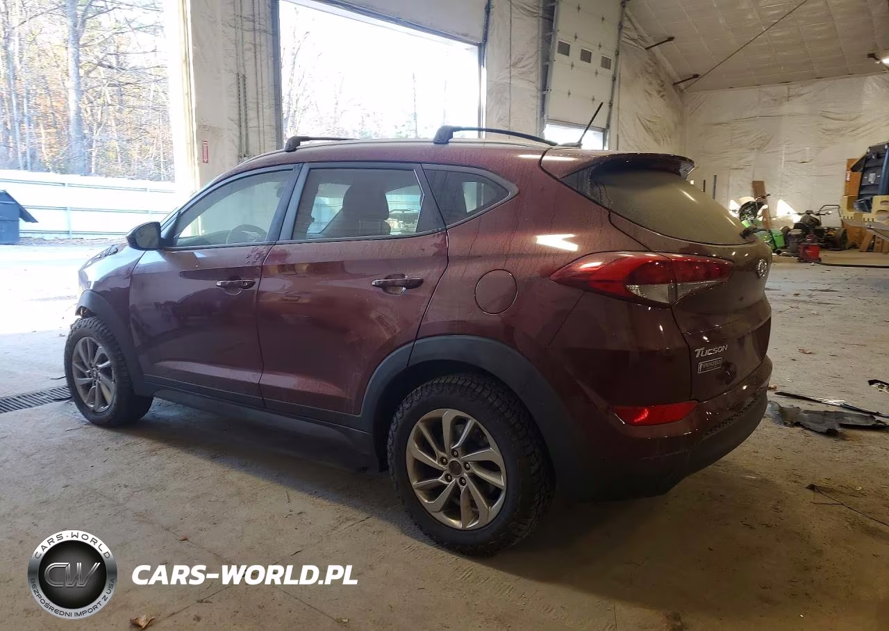 2016 Hyundai Tucson Se VIN:KM8J3CA41GU114019 - 2