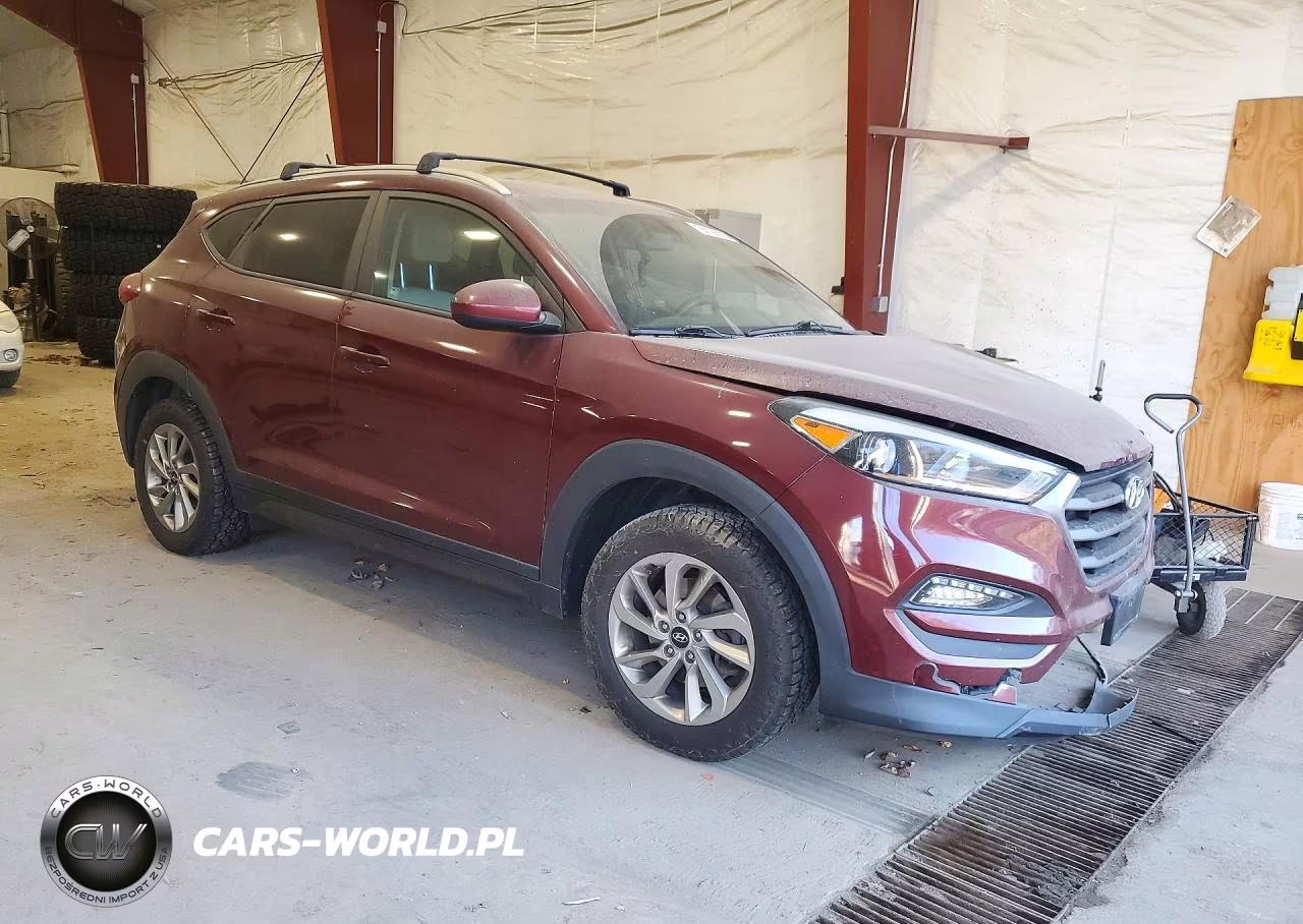 2016 Hyundai Tucson Se VIN:KM8J3CA41GU114019 - 4