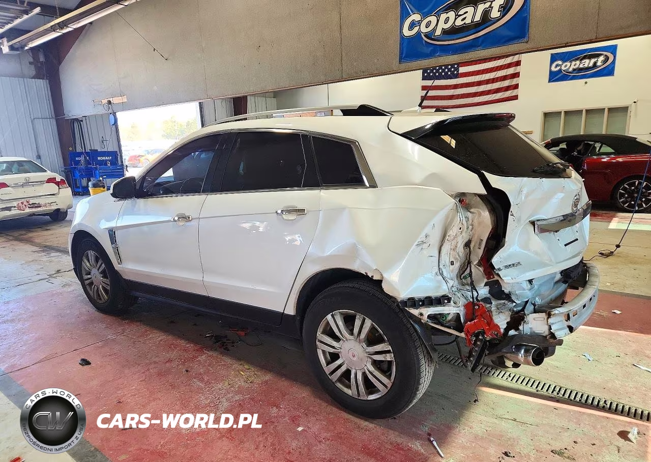 2010 Cadillac Srx Luxury Collection VIN:3GYFNAEY9AS655441 - 2