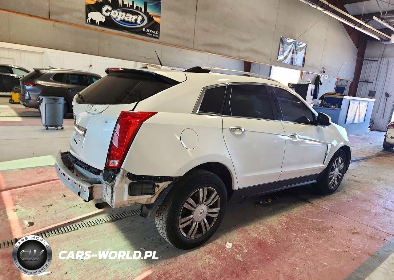 2010 Cadillac Srx Luxury Collection VIN:3GYFNAEY9AS655441 - 3