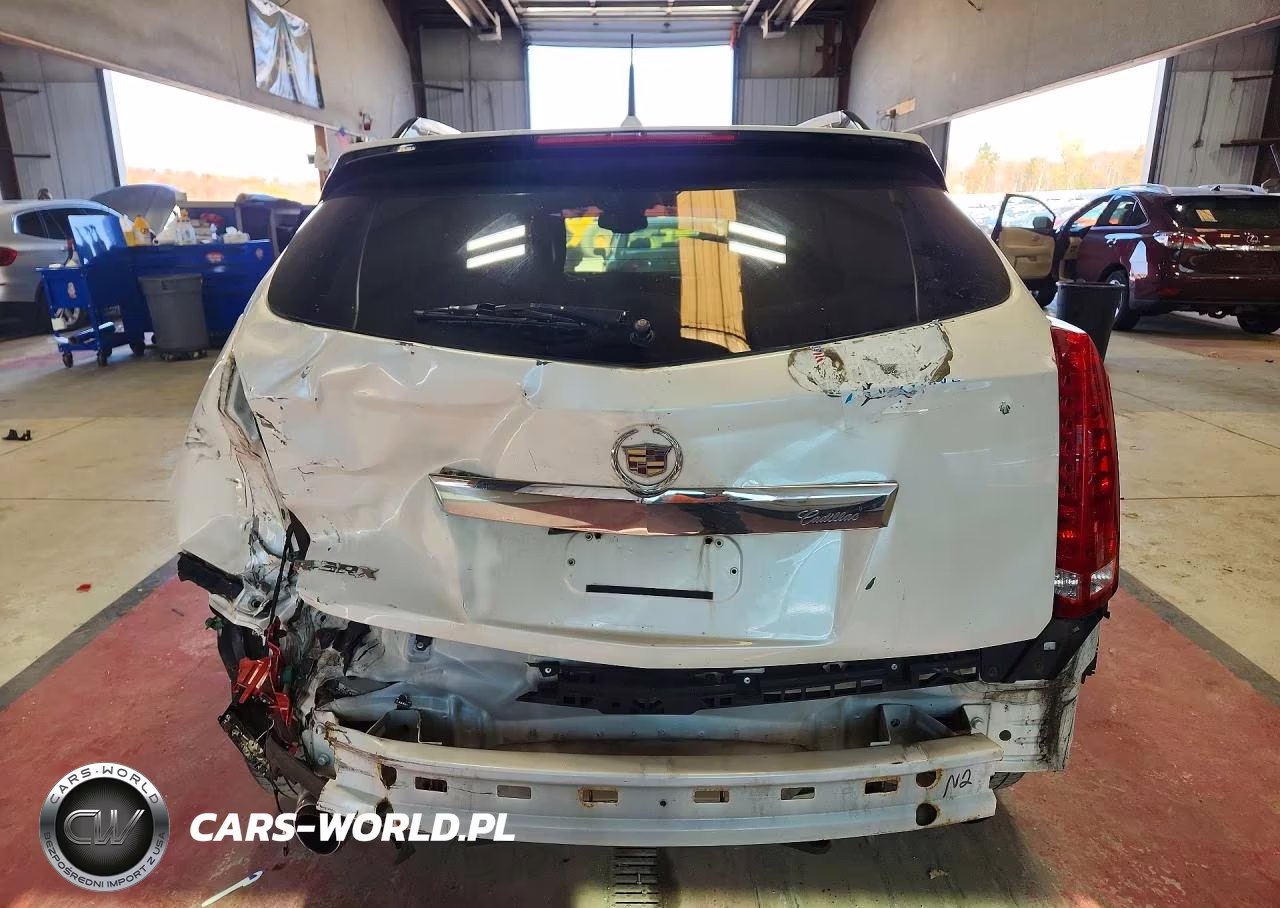 2010 Cadillac Srx Luxury Collection VIN:3GYFNAEY9AS655441 - 6