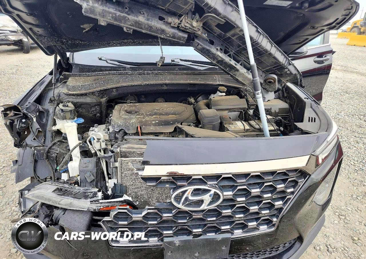 2019 Hyundai Santa Fe Se VIN:5NMS2CAD9KH118086 - 12