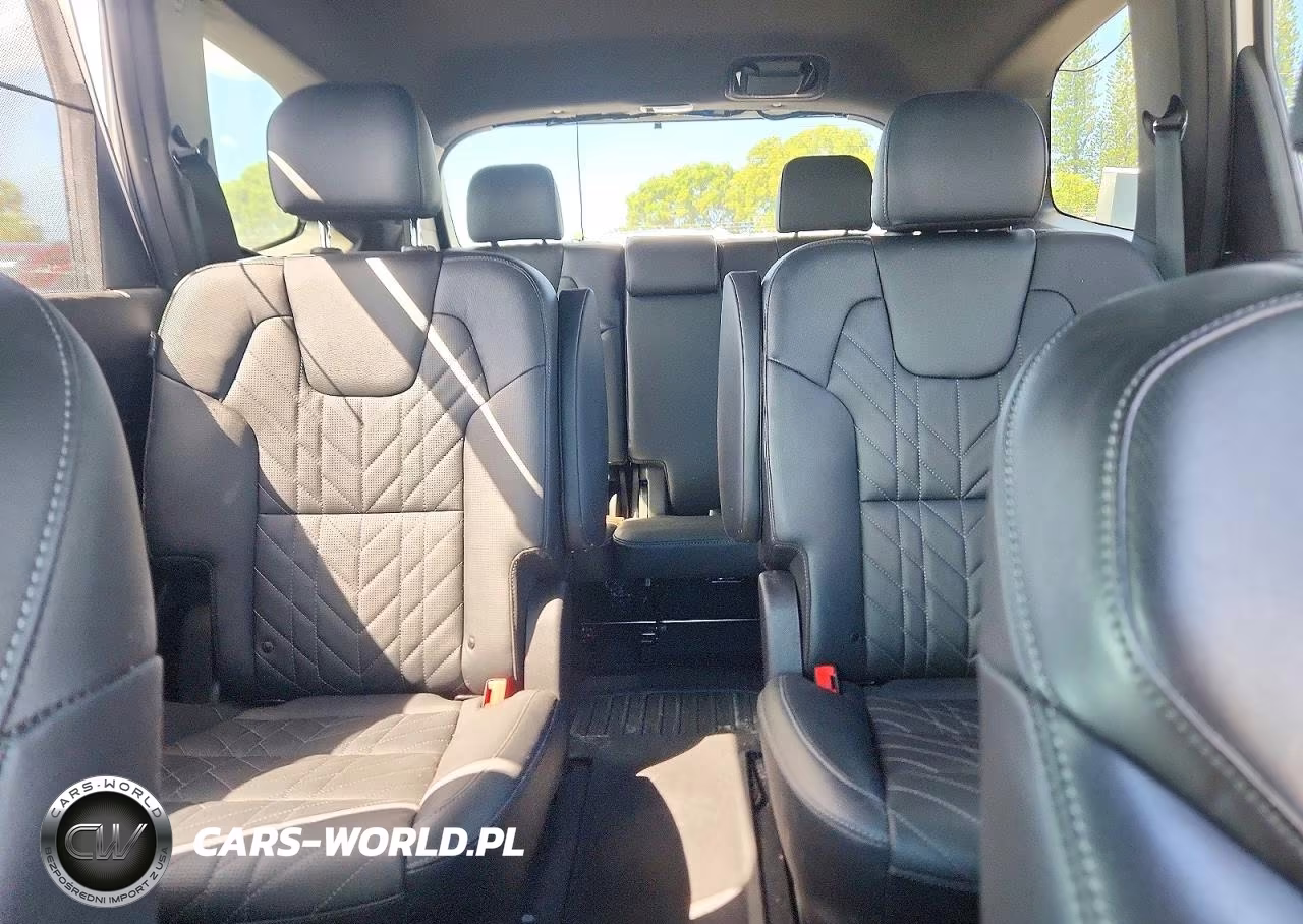 2024 Kia Telluride Ex X-Line VIN:5XYP3DGC0RG447593 - 10