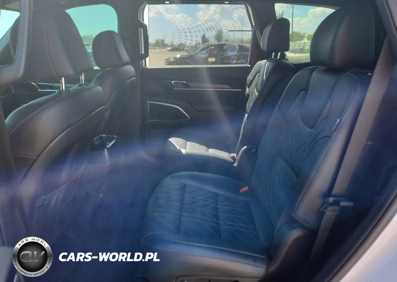 2024 Kia Telluride Ex X-Line VIN:5XYP3DGC0RG447593 - 11