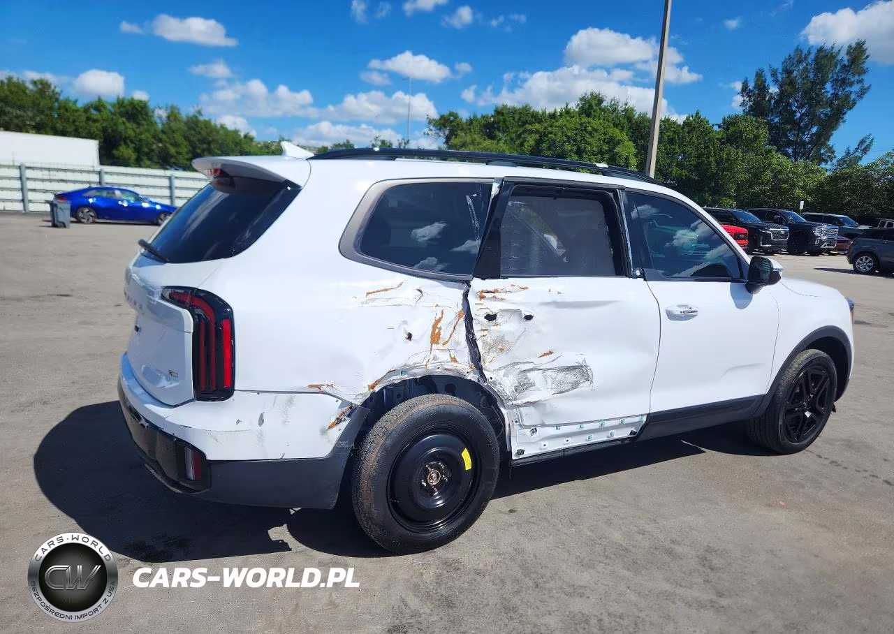 2024 Kia Telluride Ex X-Line VIN:5XYP3DGC0RG447593 - 3